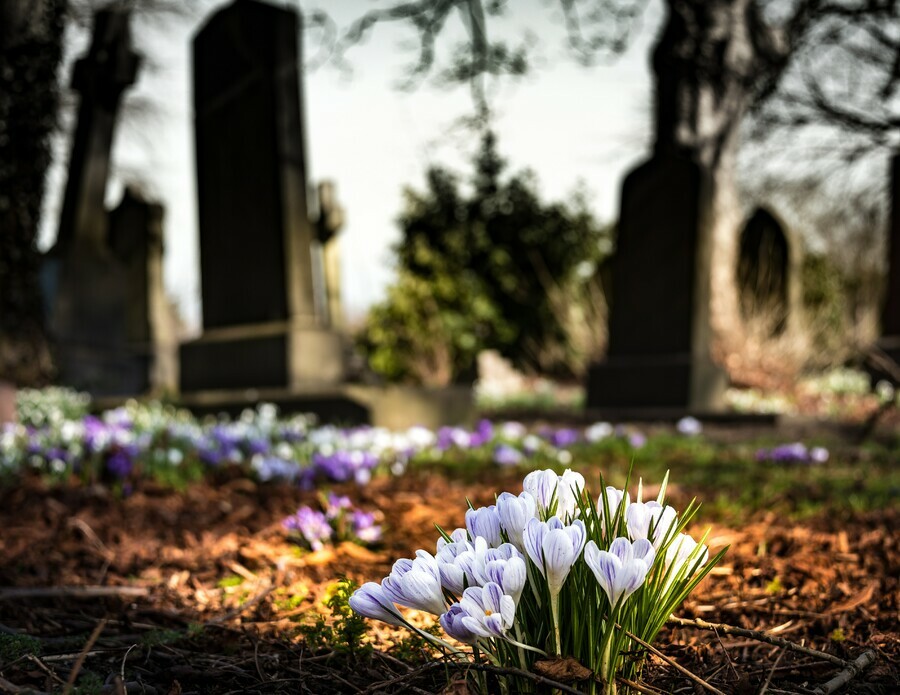 Не рвать цветы и не выпивать в Амурской области вступают в силу новые правила поведения на кладбищах 