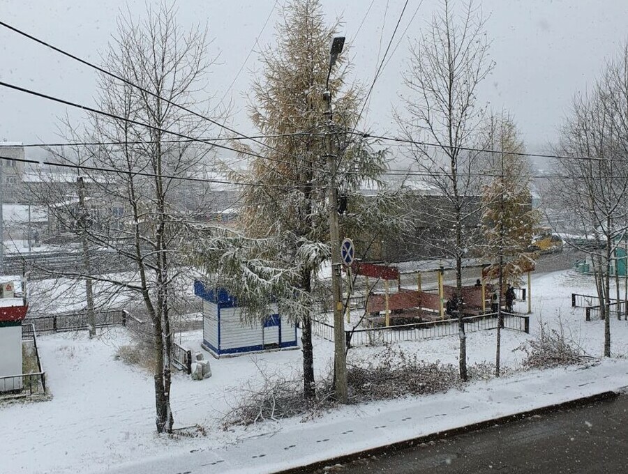На севере Амурской области прошел снег фото видео