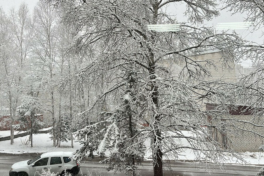 Водителей просят остаться дома на севере Приамурья ухудшилась погода идет дождь со снегом