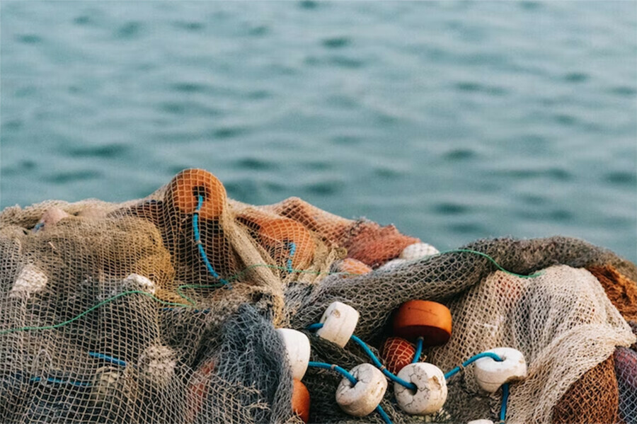 В Амурской области вводится запрет на лов рыбы
