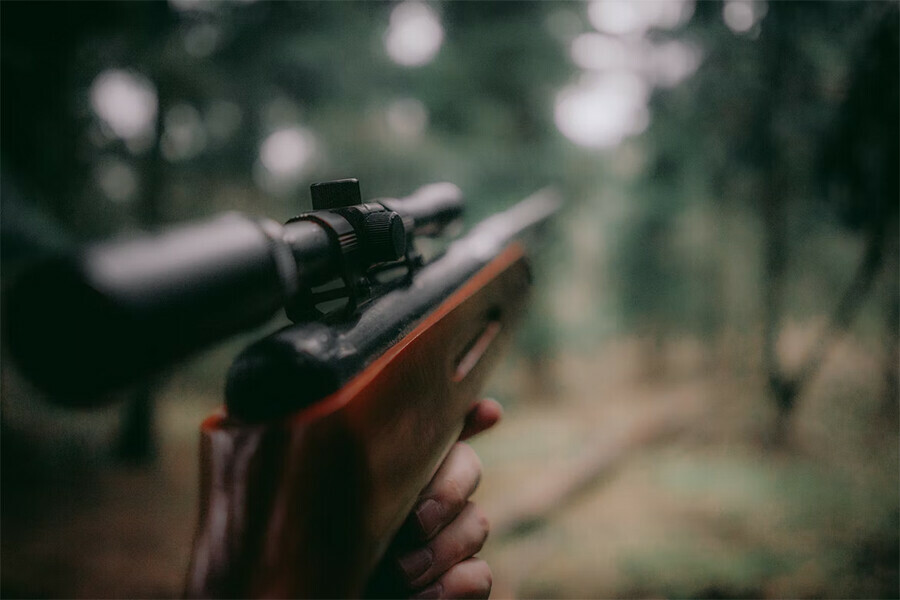 Ножи с кровью и часть головы оленя в Шимановском районе задержали группу браконьеров