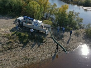 В Приамурье в Зею выпустили более 100 тысяч сазанов Хотели больше но вмешался форсмажор фото видео 