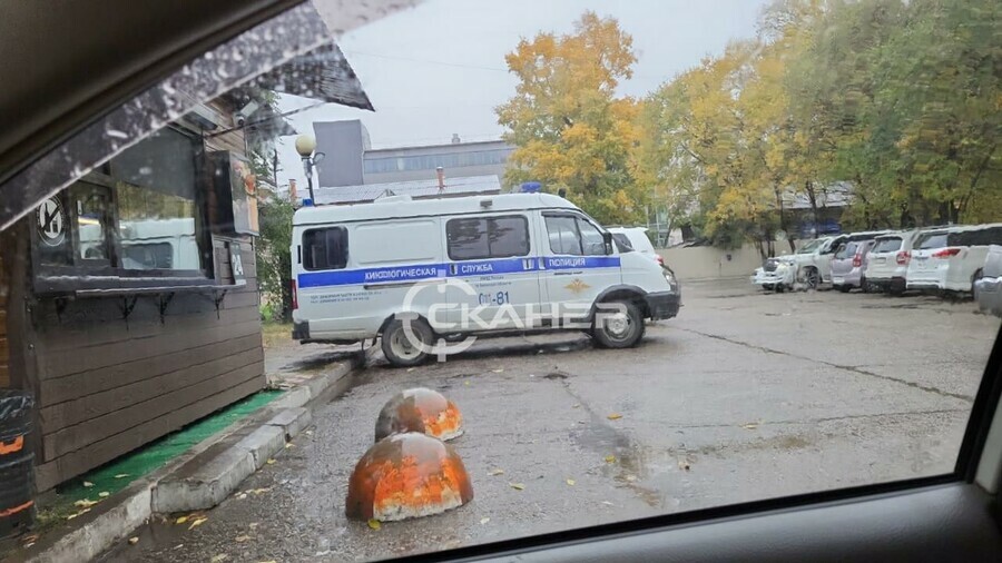 В Благовещенске возле здания бывшего ДК профсоюзов заметили скопление полицейских машин и кинолога с собакой
