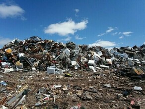 Более 25 тысячи предпринимателей Амурской области нелегально выбрасывают мусор