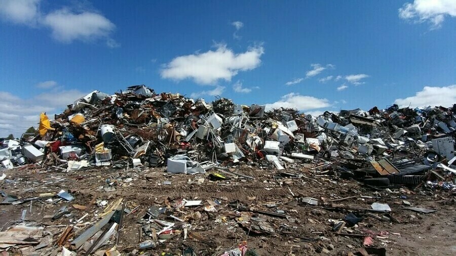 Более 25 тысячи предпринимателей Амурской области нелегально выбрасывают мусор