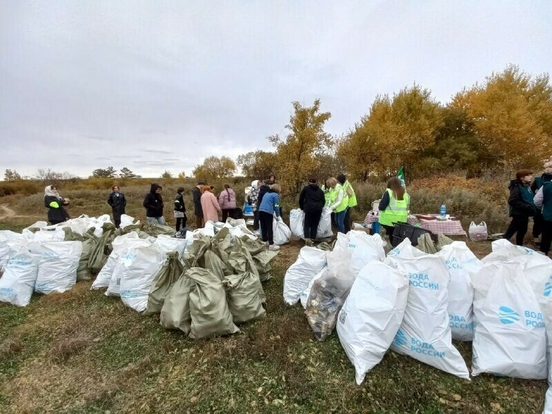 Каркасы сумок и рыбьи головы на берегу Владимировского озера благовещенцы собрали больше тонны мусора