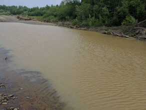 На севере реки на грани уничтожения ОНФ просит губернатора обратить внимание на проблему загрязнения рек золотодобытчиками