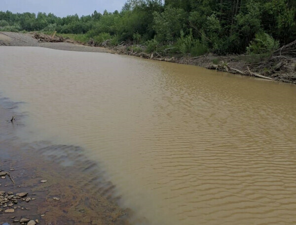 На севере реки на грани уничтожения ОНФ просит губернатора обратить внимание на проблему загрязнения рек золотодобытчиками