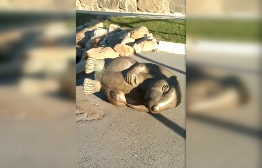 Полиция нашла амурчан которые добили бобра на ГЭС Сколько в нем было денег