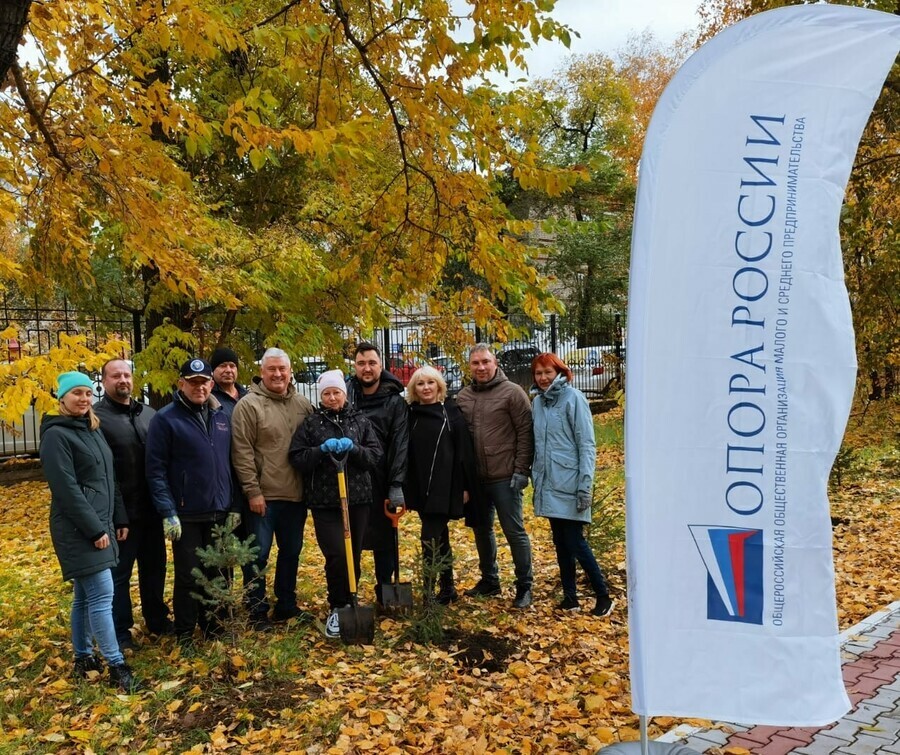 В городском парке Благовещенска появилась еловая Аллея амурских предпринимателей Со смыслом 