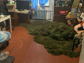 Промышленное производство наркотиков для себя организовал  в квартире житель Белогорска