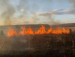 Амурская область начала гореть