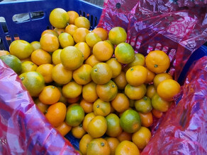 Китай возобновил прямые поставки мандаринов в Амурскую область
