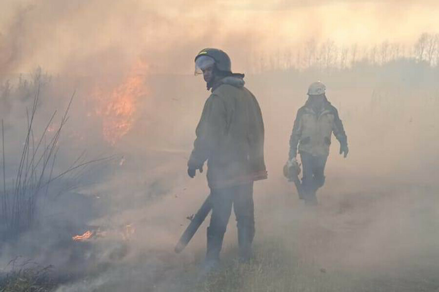 Амурские спасатели тушат палы возникшие по вине населения