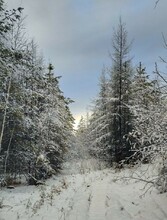 На севере Приамурья начался ледостав