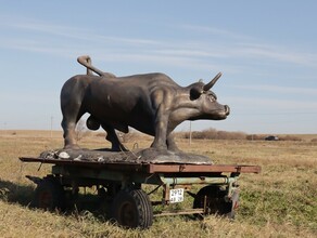 В Приамурье выдано 9 000 дальневосточных гектаров Успешные примеры их использования