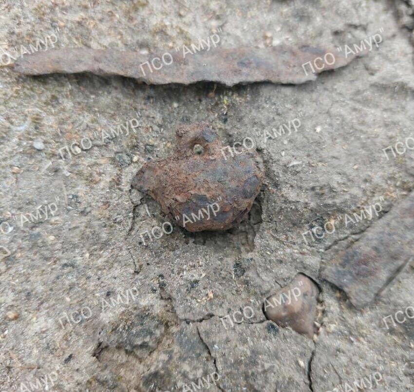 Останки женщины и кулон нашли в Амурской области