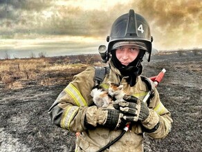 В Белогорске пожарные спасли двух котят во время пала