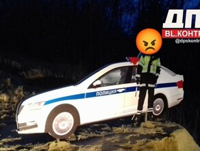 Пластмассовому инспектору ГИБДД под Благовещенском оторвали голову