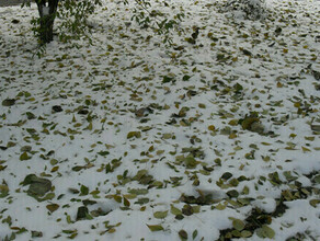 Местами снег еще и мокрый Прогноз погоды в Приамурье на 24 октября