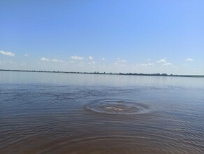 По факту гибели мужчины на реке Зее полицейские проводят проверку