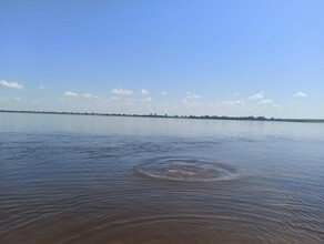 По факту гибели мужчины на реке Зее полицейские проводят проверку