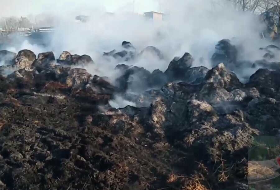 В амурском селе сгорело сено подозревают поджог видео