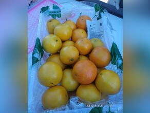 В Амурскую область впервые после трехлетнего перерыва завезли партию китайских апельсинов