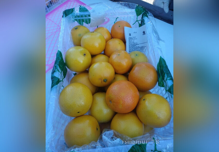В Амурскую область впервые после трехлетнего перерыва завезли партию китайских апельсинов