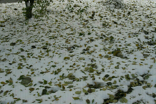 На севере выпадет снег прогноз погоды в Приамурье на 30 октября