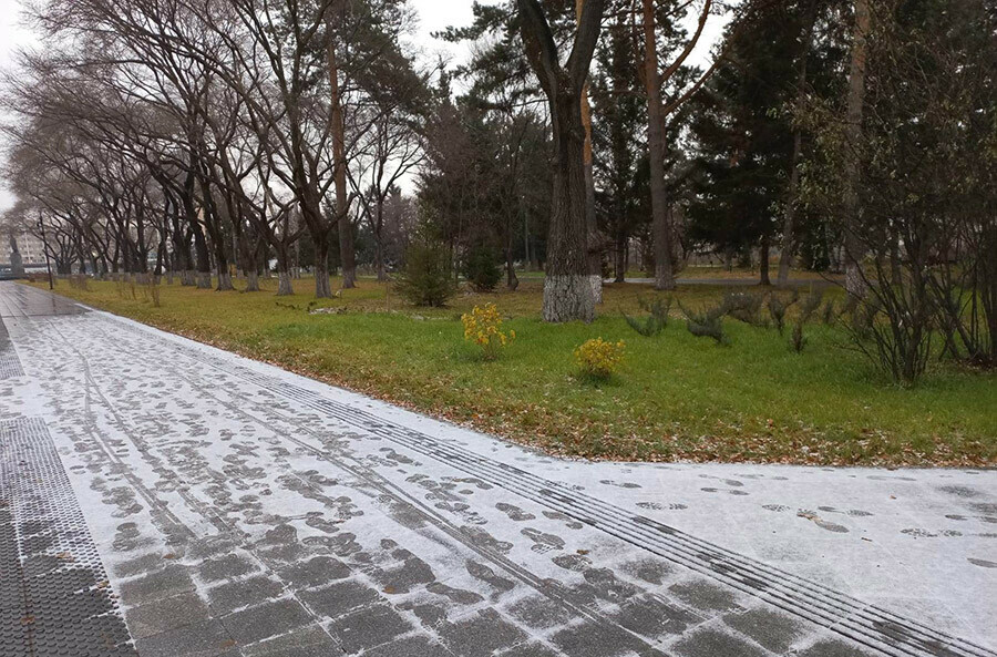 Первый день ноября в Приамурье отметится дождем и снегом прогноз погоды 