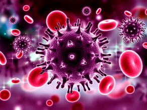 Амурских волонтеров снова приглашают на обследование иммунитета к коронавирусу