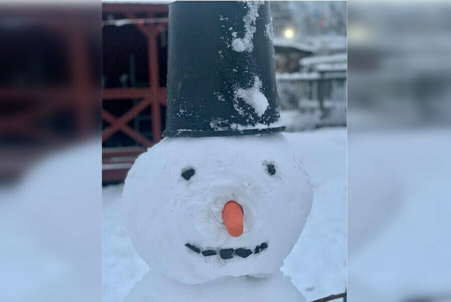 Фантазеры из Зеи и Зейского района налепили разнообразных забавных снеговиков фото