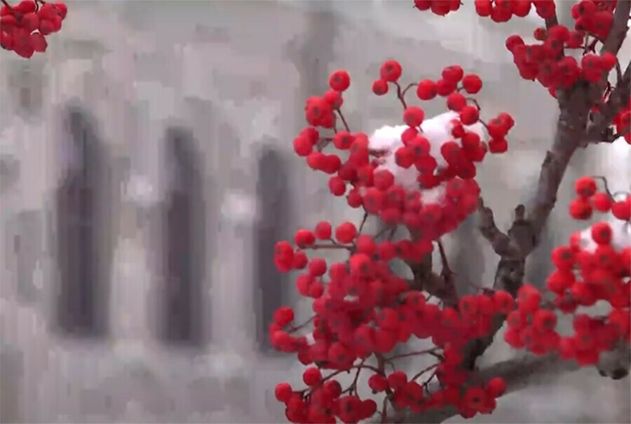 В Хэйхэ выпал первый снег а деревья заросли инеем видео