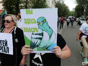Протестный Хабаровск изобразили в популярной настольной игре