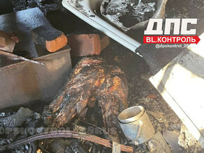 В Благовещенске в пожаре погиб пожилой человек