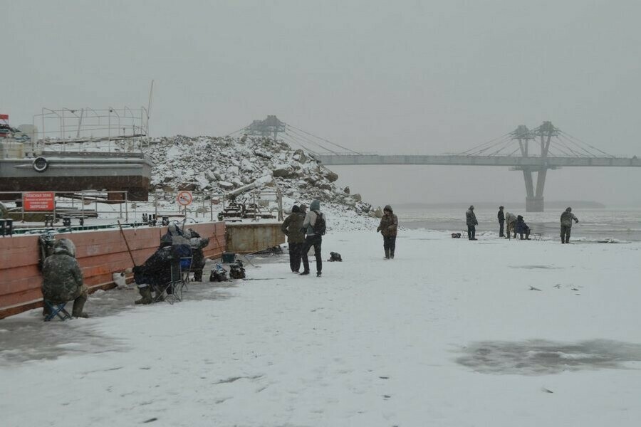 Неокрепший лед на Зее стал местом притяжения для рыбаков фото 