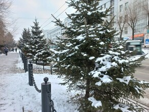 Теплый ноябрь прогноз погоды в Амурской области на 16 ноября 