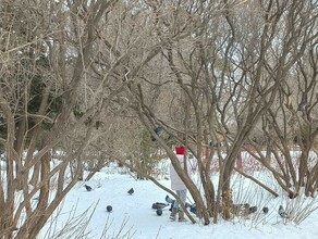 В начале недели в Приамурье заметно похолодает 