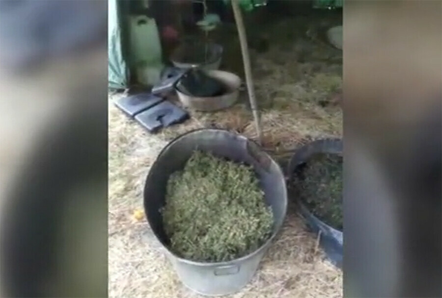 В Приамурье недалеко от Кавказа полицейские нашли минизавод и изобретателя конопляного масла видео