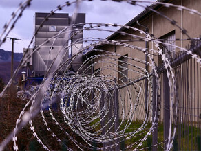 Евгению Седых дружба сослужила плохую службу за что получил срок эксглава Благовещенского района 