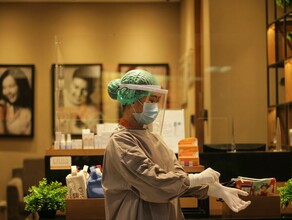 Вирусологи назвали вирусную тридемию в России маловероятной