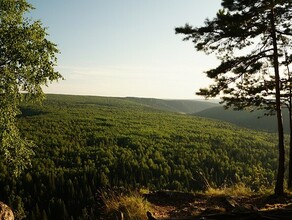 В амурской тайге обнаружили пропавшего мужчину