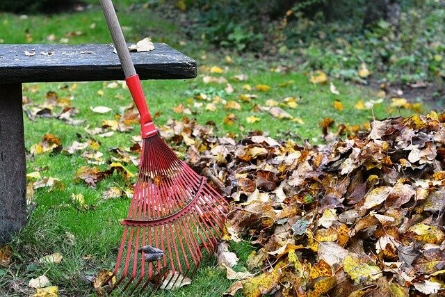 Прячем грабли В Благовещенске больше не будут убирать опавшие листья на субботниках
