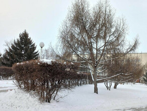 Зиму Амурская область встретит солнцем и ясным небом прогноз погоды на 1 декабря