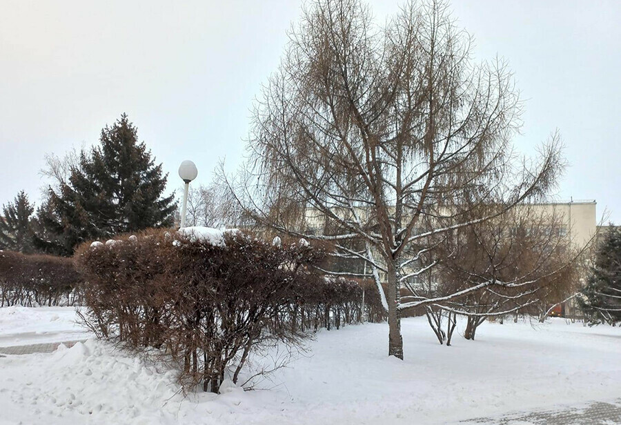 Зиму Амурская область встретит солнцем и ясным небом прогноз погоды на 1 декабря