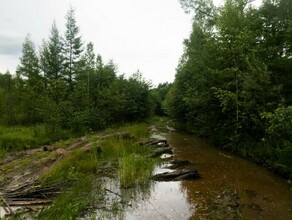 К месту крушения двух самолетов в Приамурье готовится новая экспедиция