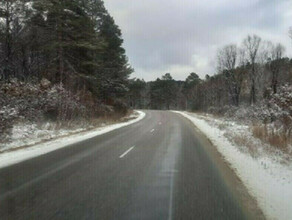 На дороге Свободный  Благовещенск погиб пассажир грузового автомобиля ехавший на разгрузку товара