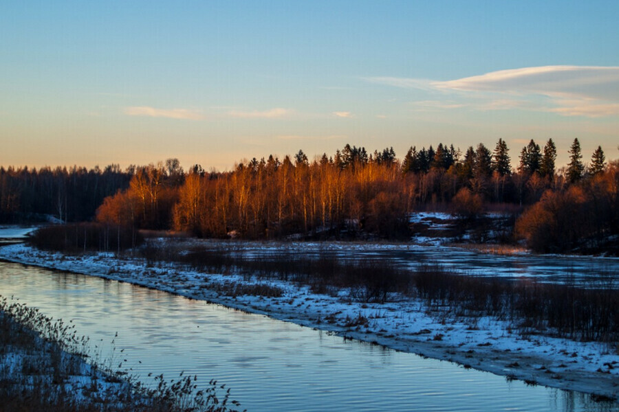 Вред амурской реке нанесенный золотодобытчиками оценили более чем в 2 миллиона рублей