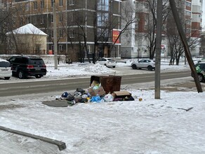 Благовещенца возмутил перевернутый мусорный бак в центре города 